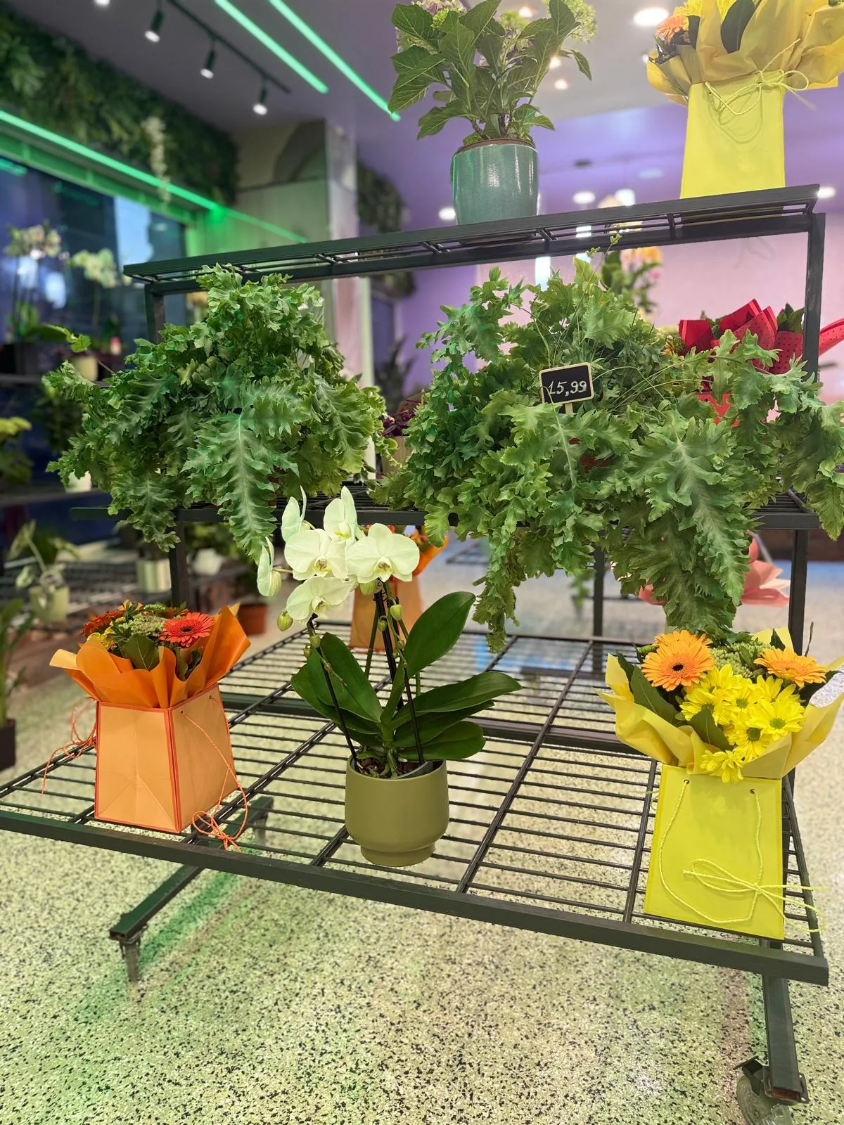Geschenksträuße und Orchidee auf dem Wagen