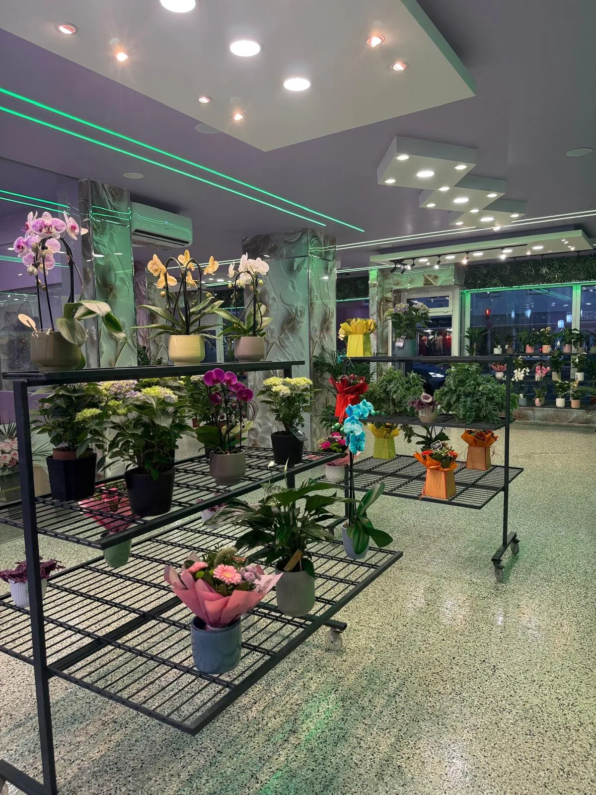 Rollregale mit Orchideen und Hortensien