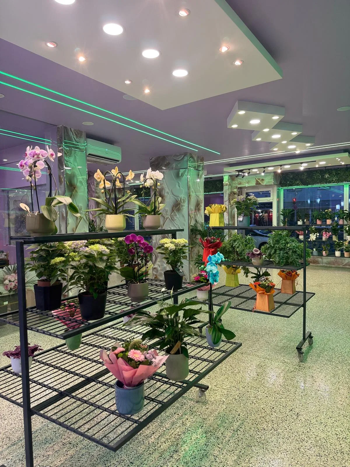 Verkaufsraum mit Orchideen und Sträußen