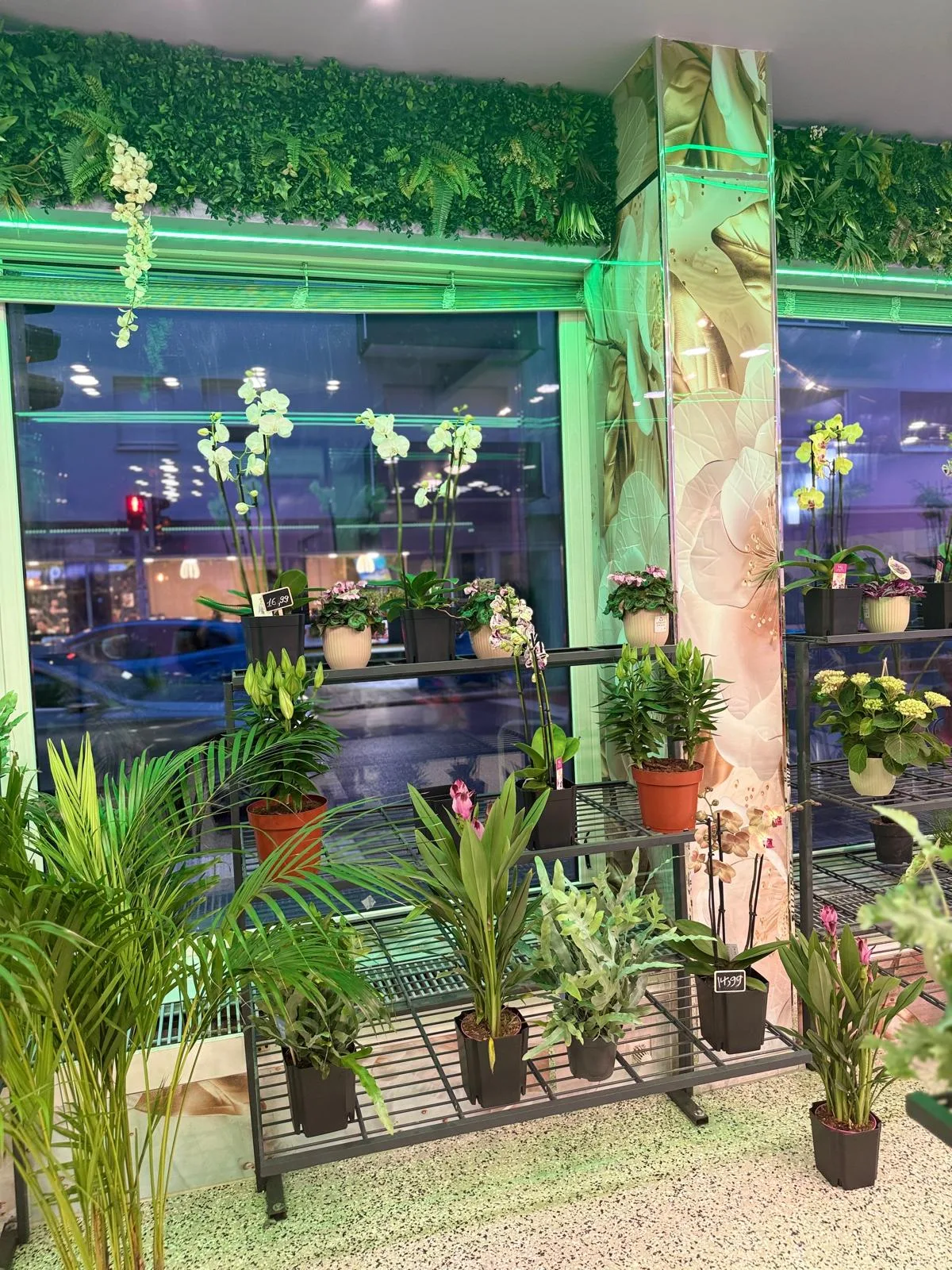 Orchideen und Lilien am Schaufensterregal